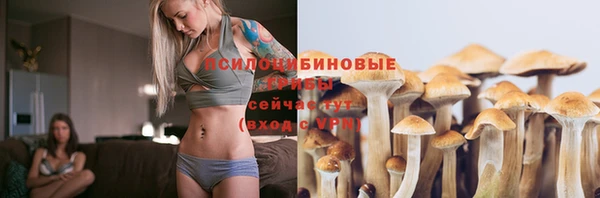 ешки Алексеевка