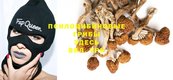 ешки Алексеевка