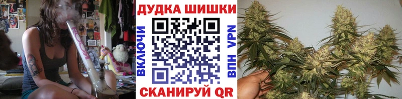 Бошки Шишки планчик Елец